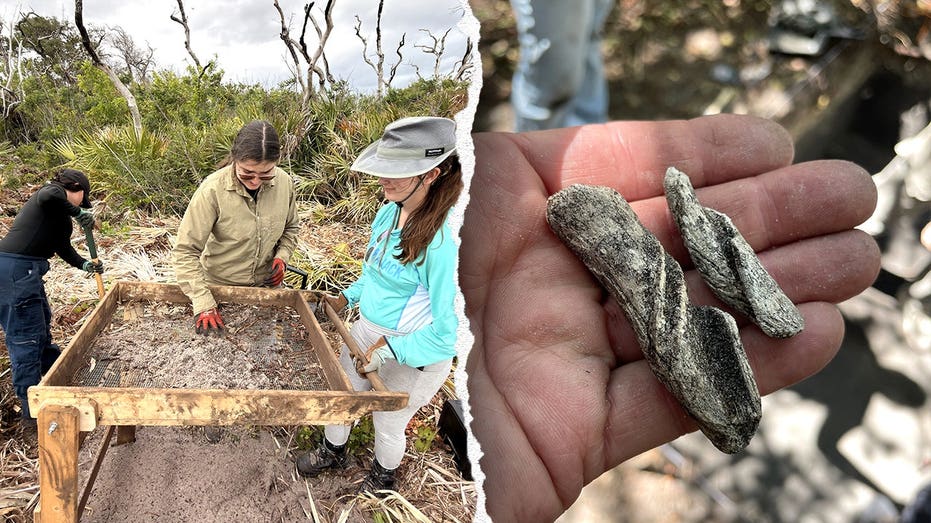 Ancient artifacts found beneath Cape Canaveral Space Force Station as one mystery still stumps researchers Architect Gold Coast